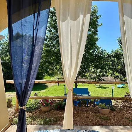 Jennas Sun
